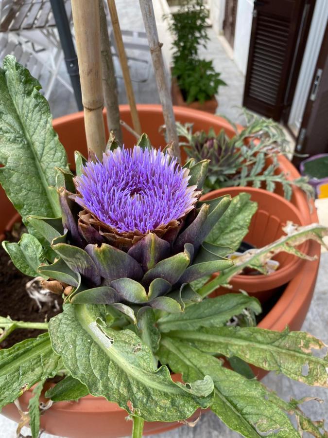 Officinale Rome Apartment, Pineta Sacchetti Exterior photo
